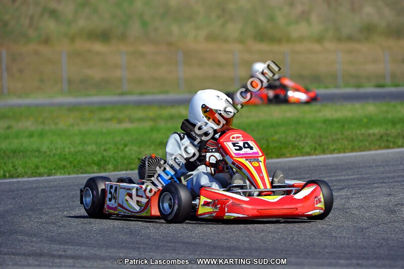 DSC_ (1263).jpg